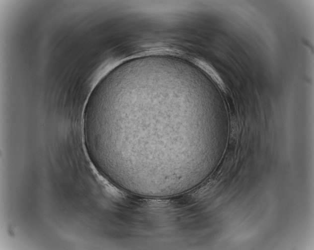 X0000096681439200802191342