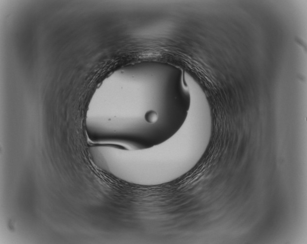 X0000096681441200802191342
