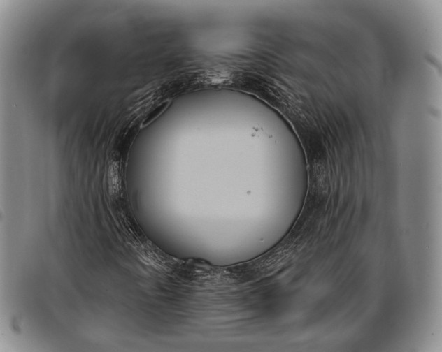 X0000096681442200802191342