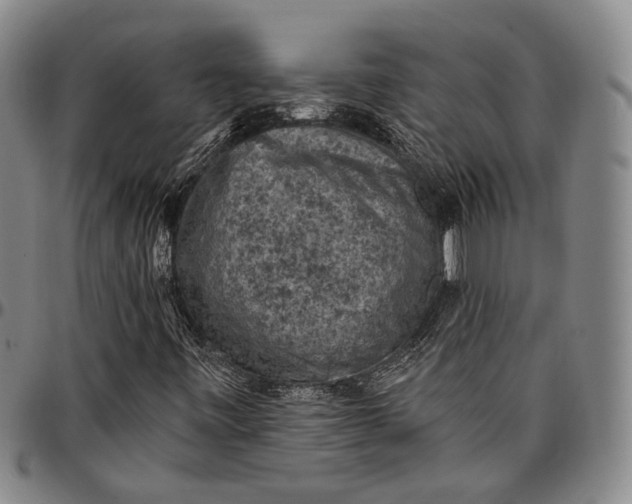 X0000096681443200802191342