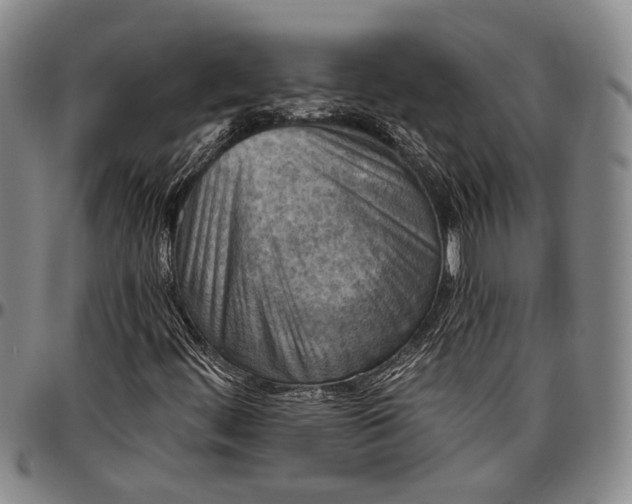 X0000096681444200802191342