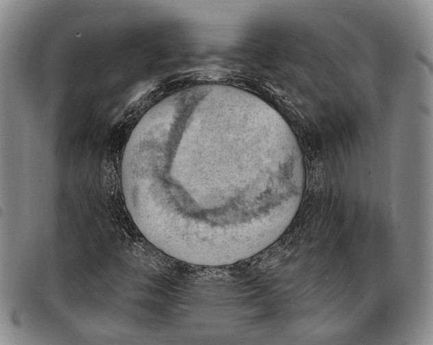 X0000096681446200802191341