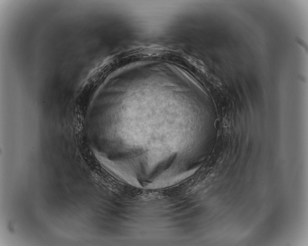 X0000096681447200802191341