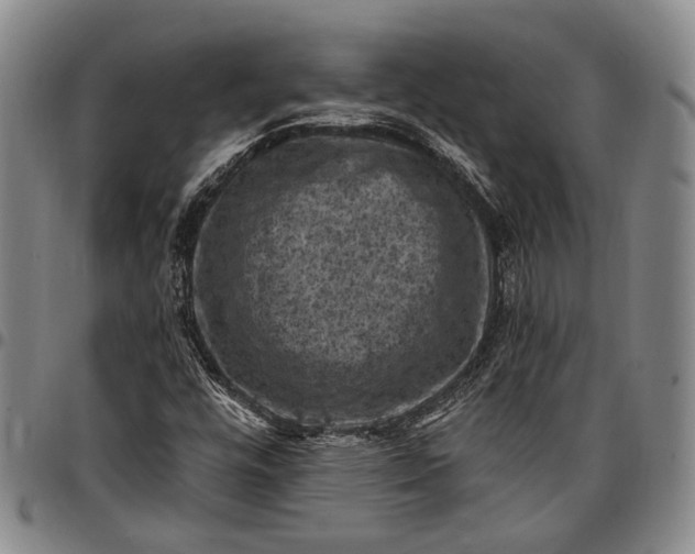 X0000096681448200802191341
