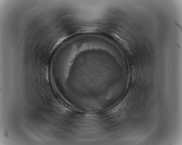 X0000096681449200802191341