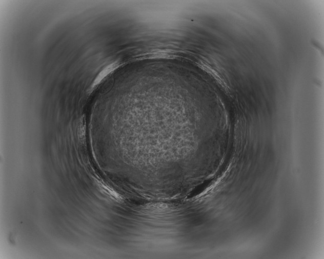 X0000096681450200802191341