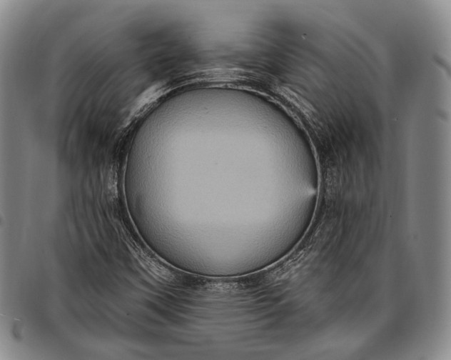 X0000096681451200802191341