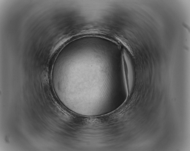 X0000096681452200802191341