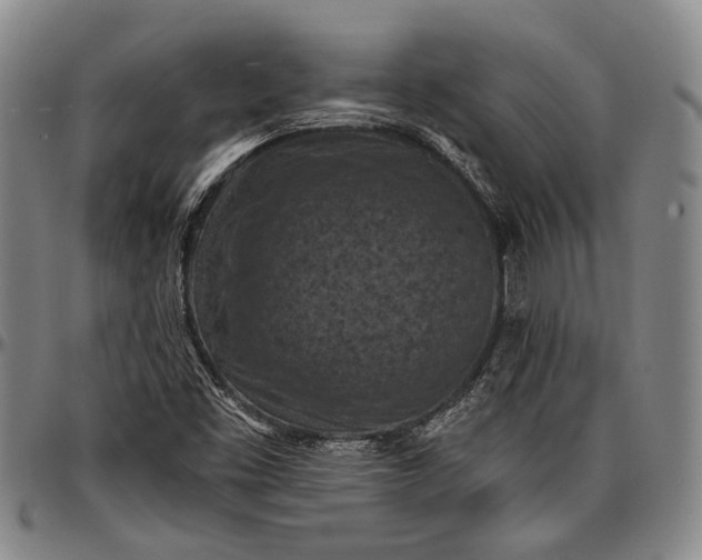 X0000096681453200802191341
