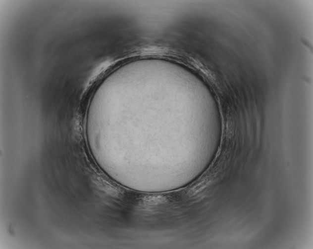 X0000096681454200802191341