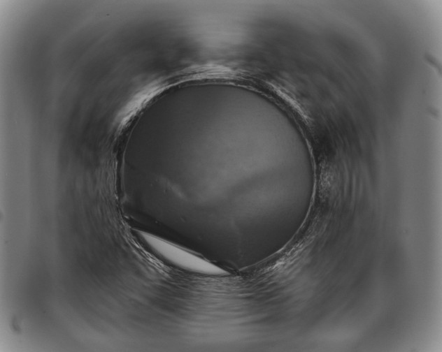 X0000096681455200802191341