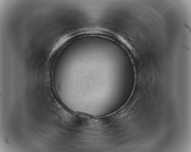 X0000096681456200802191341