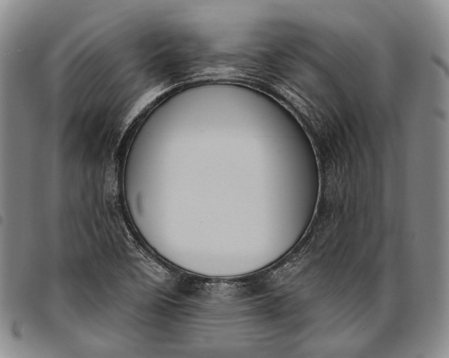 X0000096681458200802191341