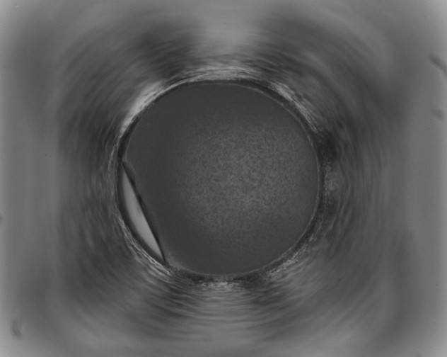 X0000096681459200802191341