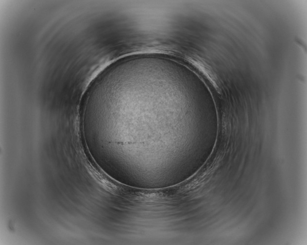 X0000096681460200802191341