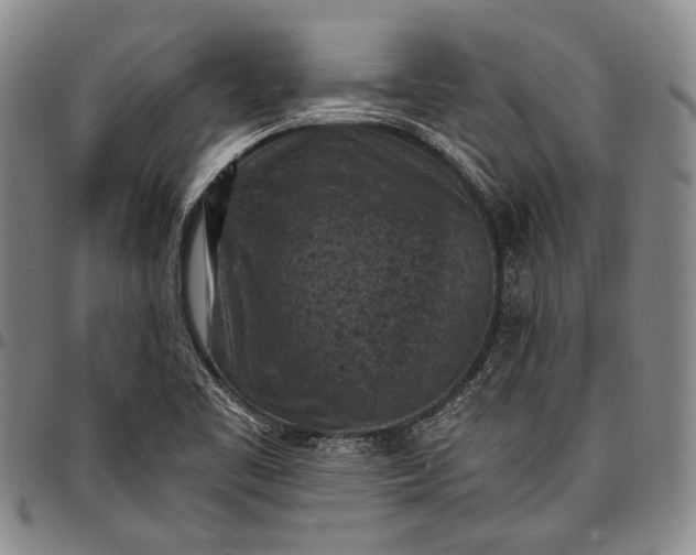 X0000096681461200802191341