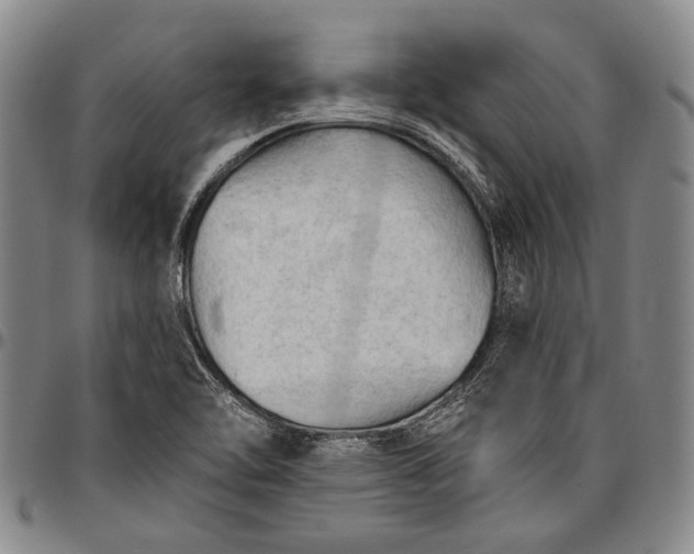 X0000096681462200802191341