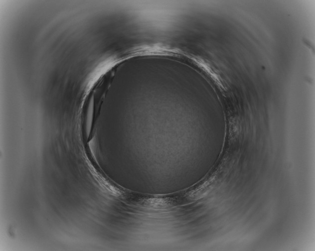 X0000096681463200802191341