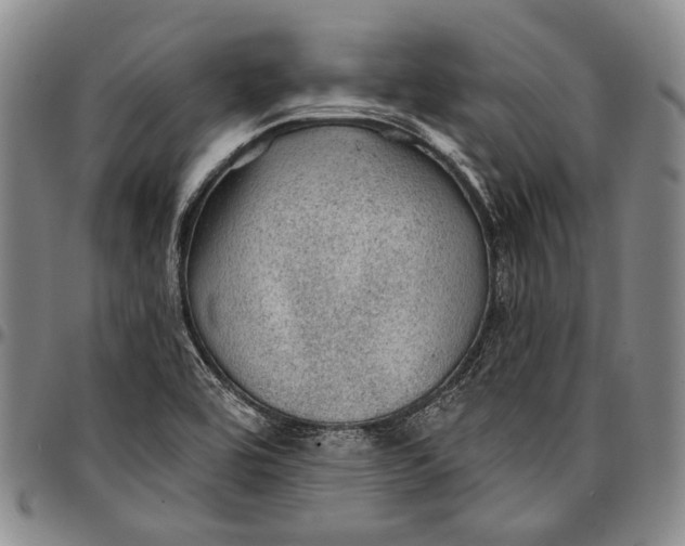 X0000096681464200802191341
