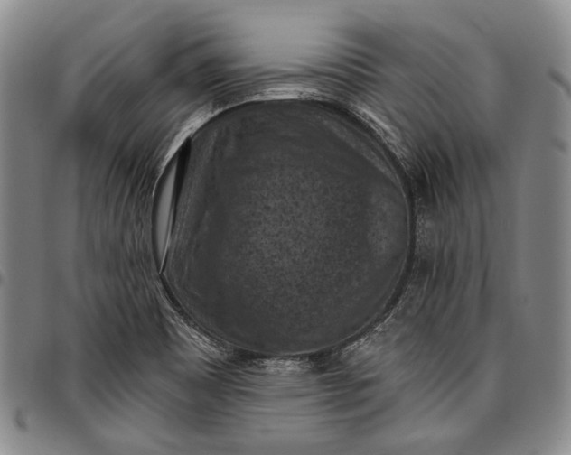 X0000096681465200802191341