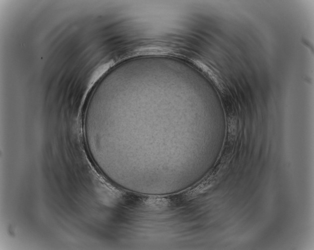 X0000096681466200802191341