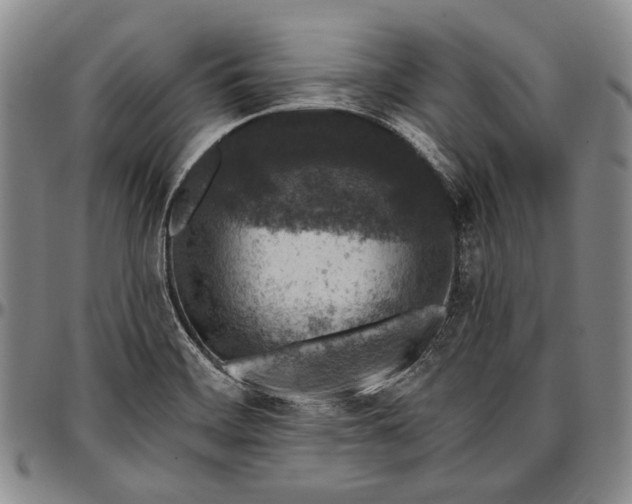 X0000096681468200802191341