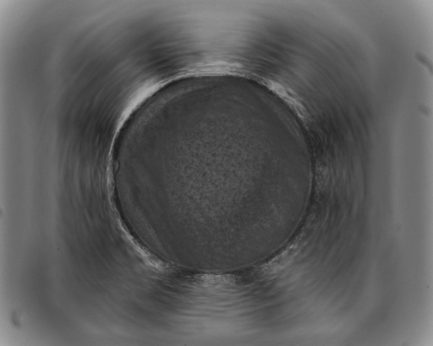 X0000096681469200802191341