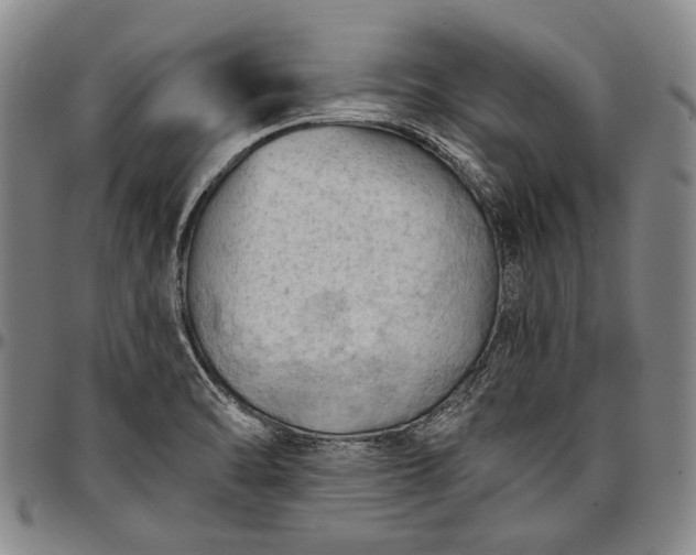 X0000096681470200802191341