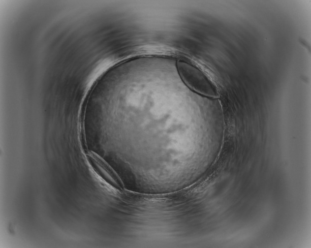 X0000096681471200802191341