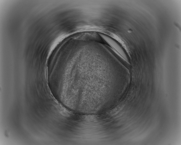 X0000096681472200802191341