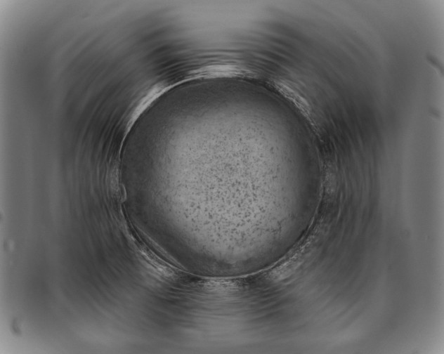X0000096681473200802191341