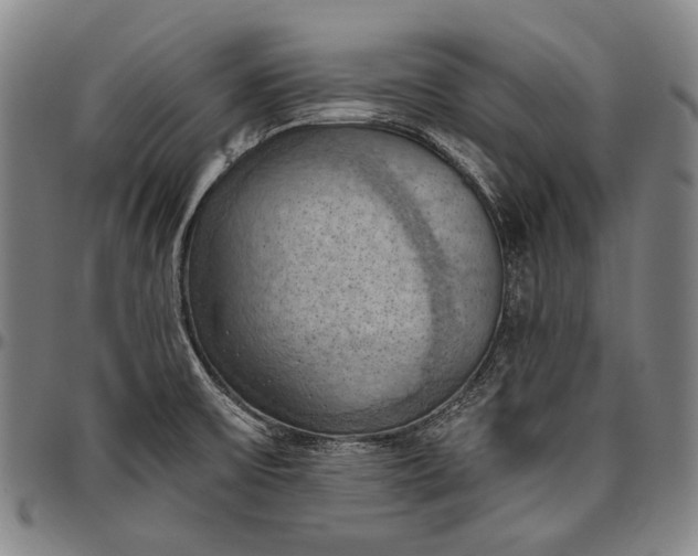 X0000096681475200802191341