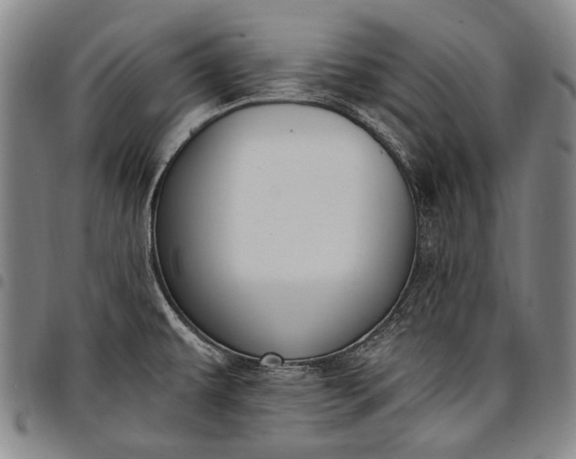 X0000096681479200802191341