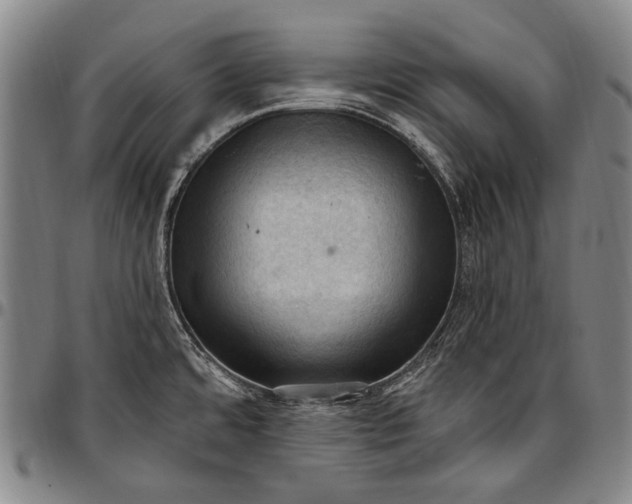X0000096681480200802191341