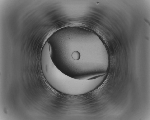 X0000096681481200802191341