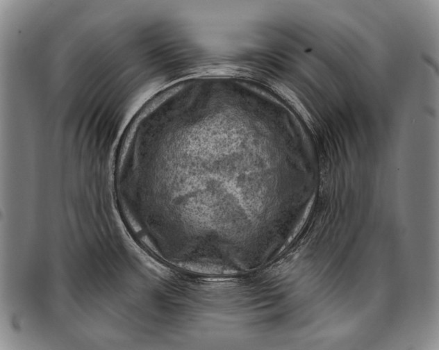 X0000096681483200802191341