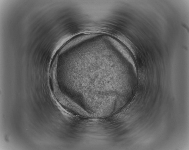 X0000096681485200802191341