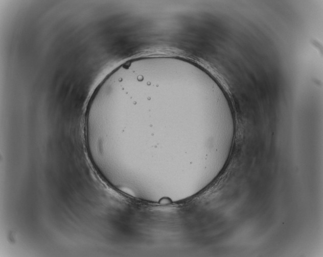 X0000096681486200802191341