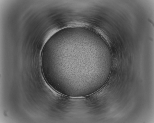 X0000096681487200802191341