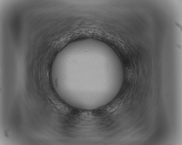 X0000096681489200802191340