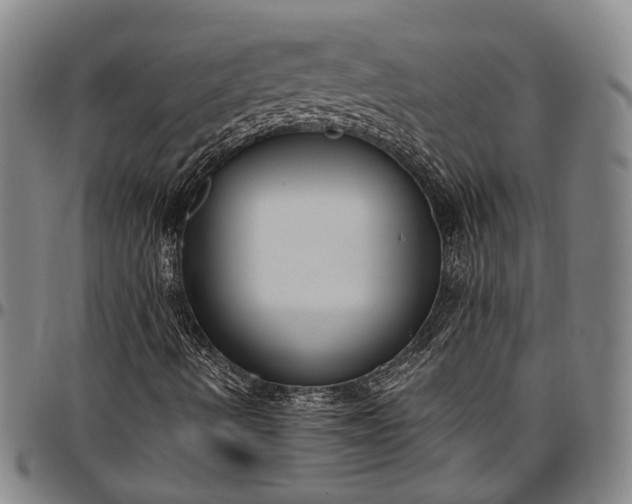 X0000096681490200802191340