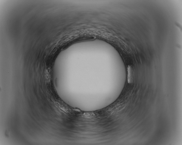 X0000096681491200802191340