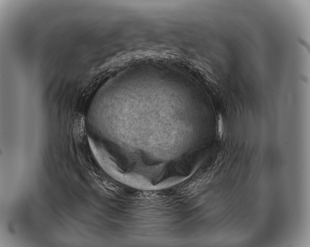 X0000096681492200802191340