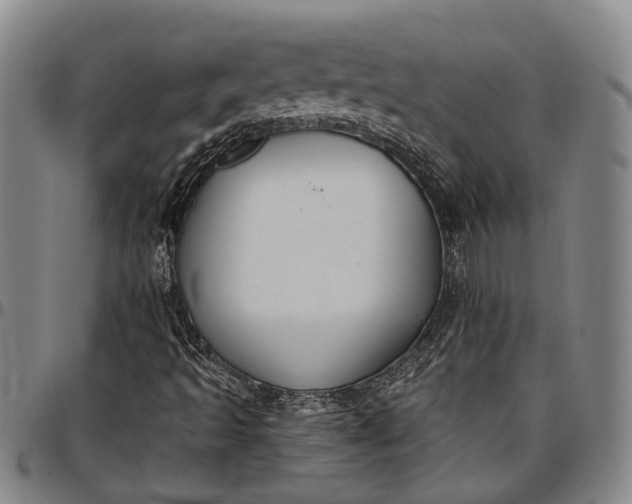 X0000096681493200802191340