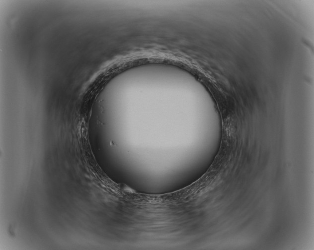 X0000096681495200802191340