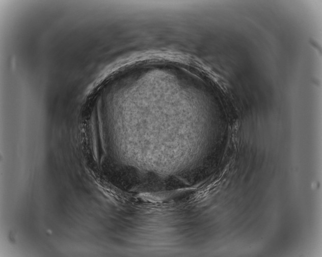 X0000096681496200802191340