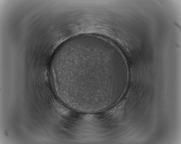 X0000096681497200802191340