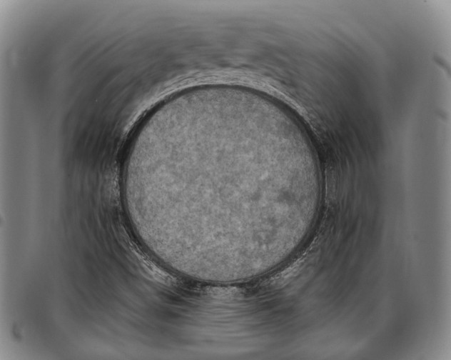 X0000096681498200802191340