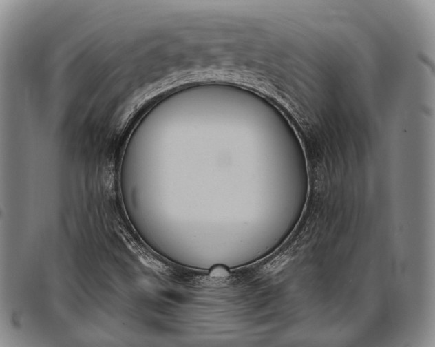 X0000096681499200802191340