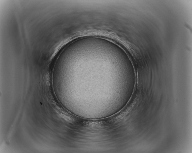 X0000096681501200802191340